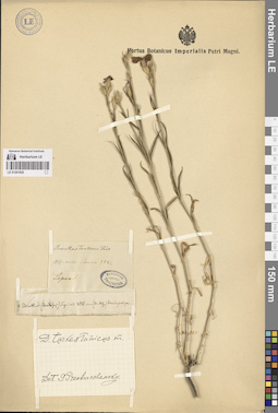 LE 01261920