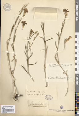 LE 01261922