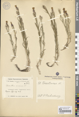 LE 01261923
