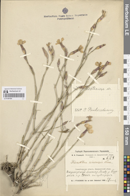 LE 01261924