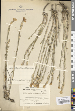 LE 01261925
