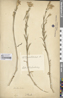 LE 01261928