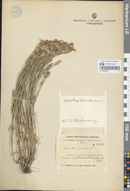 LE 01261930