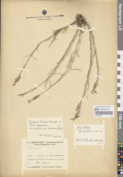 LE 01261932
