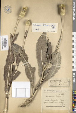 LE 01009441