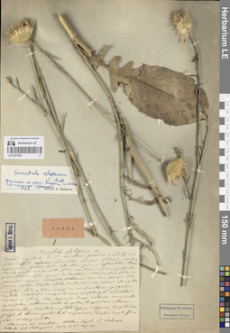 LE 01261938