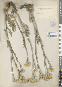 LE 01261939
