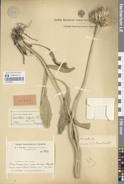 LE 01261944