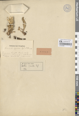 LE 01261950