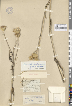 LE 01261958