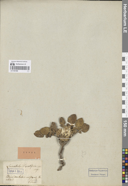 LE 01261968