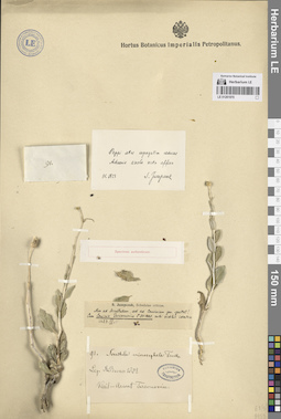 LE 01261970