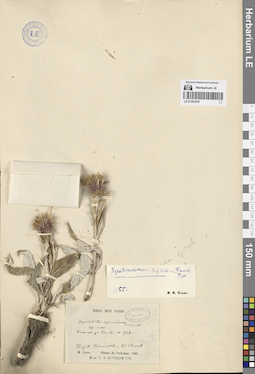 LE 01261976