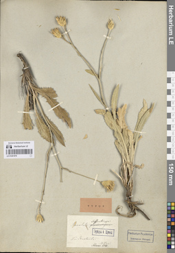 LE 01261979