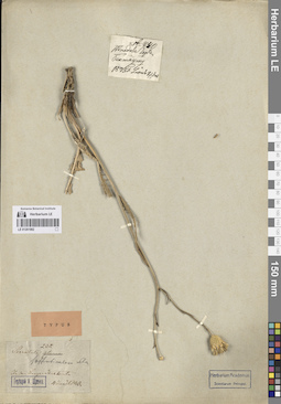 LE 01261982