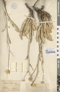 LE 01261983