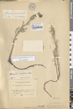 LE 01227920