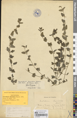 LE 01081081
