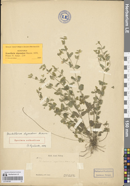 LE 01081083