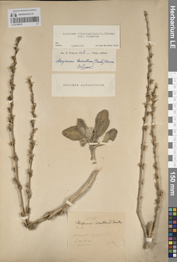LE 01190127