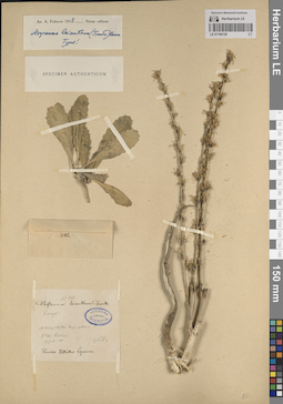 LE 01190128