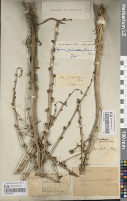 LE 01190129