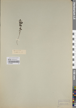 LE 01205045