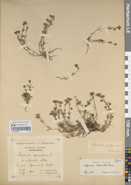 LE 01205047