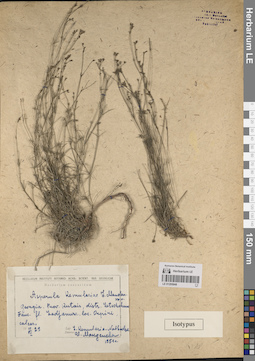 LE 01205048