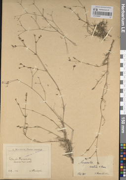 LE 01205057