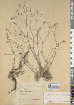 LE 01205060