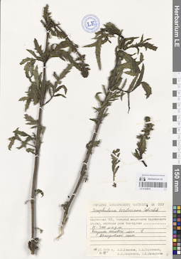 LE 01245870
