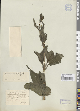 LE 01264012