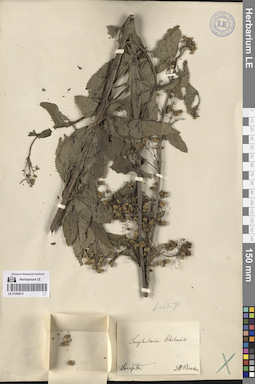 LE 01264013