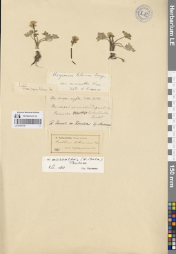 LE 01070735