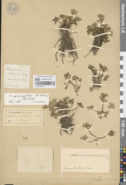 LE 01070738