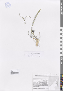 LE 01259419