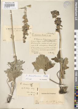 LE 00050190
