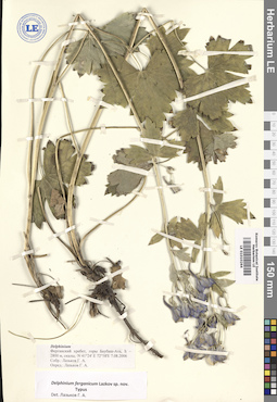 LE 01010264