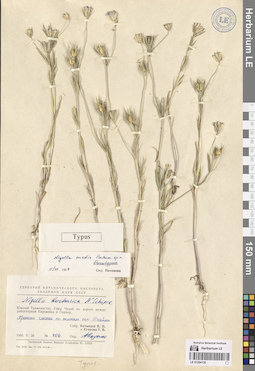 LE 01264130