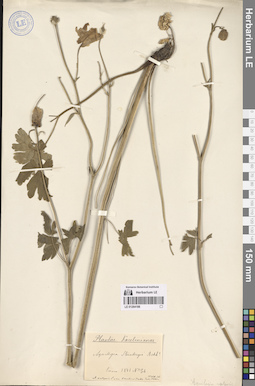 LE 01264188
