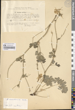 LE 01264195