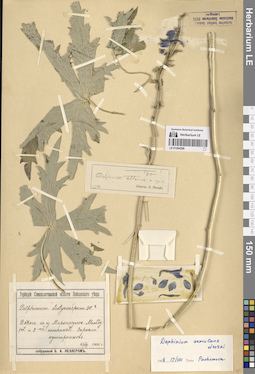 LE 01264208