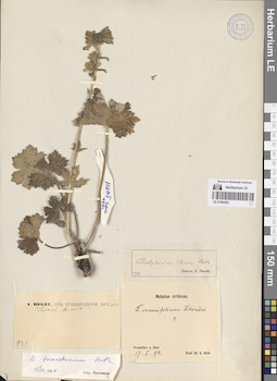 LE 01264301