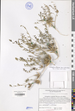 LE 01037072