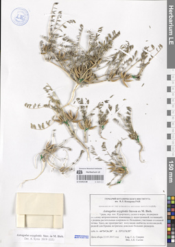 LE 01052138