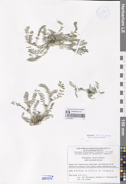 LE 01055601