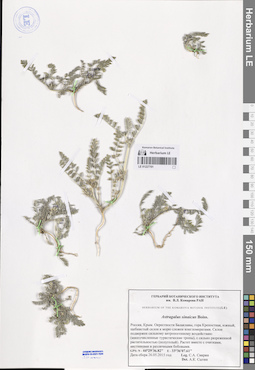 LE 01227701