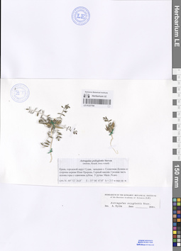 LE 01227704