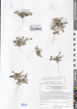 LE 01227706